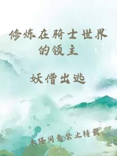 修煉在騎士世界的領(lǐng)主