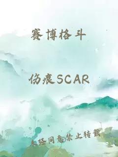 賽博格斗