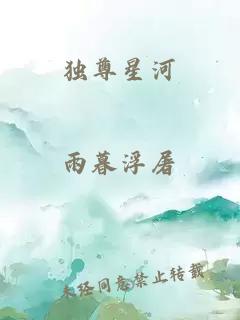 獨尊星河