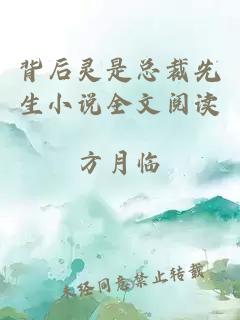 背后靈是總裁先生小說全文閱讀
