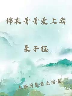 錦衣哥哥愛上我欒子鈺
