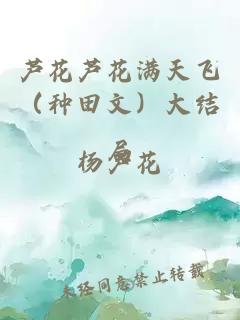蘆花蘆花滿天飛（種田文）大結(jié)局