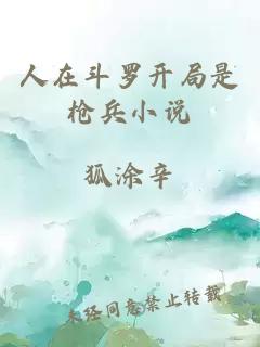 人在斗羅開局是槍兵小說