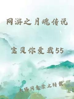 網(wǎng)游之月魂傳說
