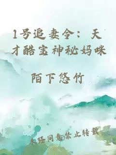 1號追妻令：天才酷寶神秘媽咪