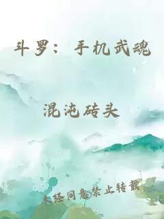 斗羅：手機(jī)武魂