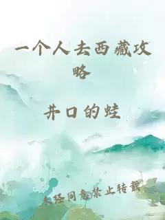 一個(gè)人去西藏攻略