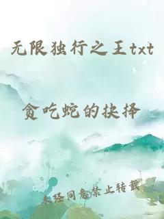 無(wú)限獨(dú)行之王txt