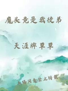 魔頭竟是我徒弟