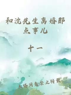 和沈先生離婚那點(diǎn)事兒