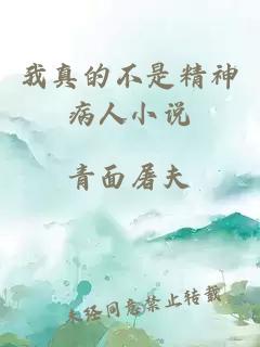 我真的不是精神病人小說