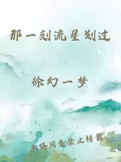 那一刻流星劃過