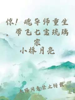 驚！魂導(dǎo)師重生，帶飛七寶琉璃宗