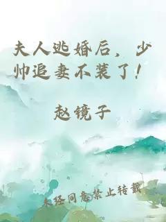 夫人逃婚后，少帥追妻不裝了！