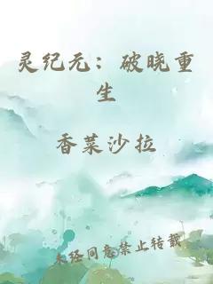 靈紀(jì)元：破曉重生