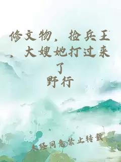 修文物，撿兵王，大嫂她打過來了