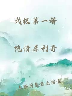武極第一婿