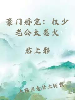 豪門婚寵：權(quán)少老公太惹火