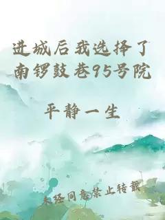 進城后我選擇了南鑼鼓巷95號院