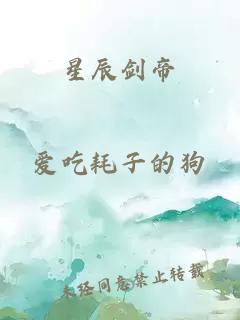 星辰劍帝