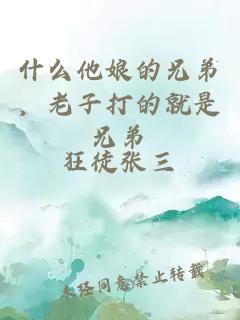 什么他娘的兄弟，老子打的就是兄弟