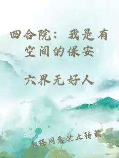 四合院：我是有空間的保安