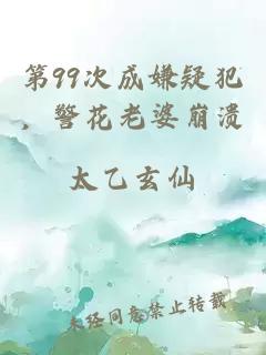 第99次成嫌疑犯，警花老婆崩潰