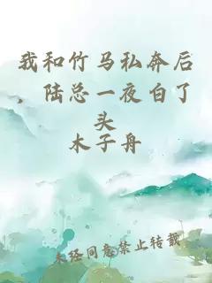 我和竹馬私奔后，陸總一夜白了頭