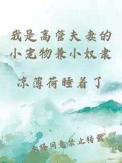 我是高管夫妻的小寵物兼小奴隸