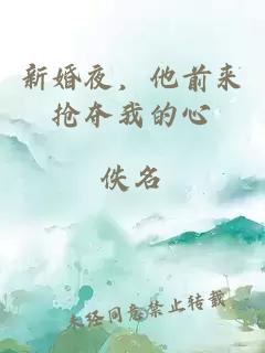 新婚夜，他前來搶奪我的心