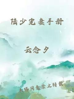 陸少寵妻手冊