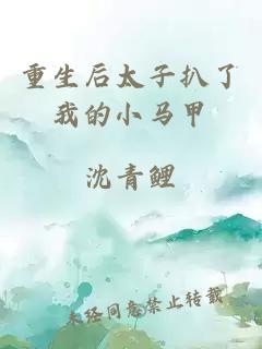 重生后太子扒了我的小馬甲