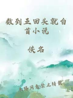 數到五回頭就白首小說