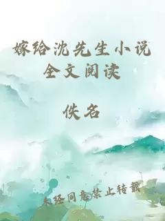 嫁給沈先生小說(shuō)全文閱讀