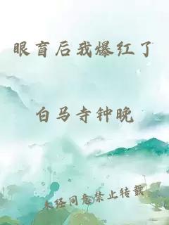 眼盲后我爆紅了