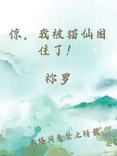驚，我被貓仙困住了！