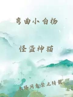 彎曲小白楊