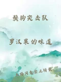 鬢狗突擊隊