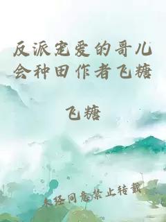 反派寵愛的哥兒會種田作者飛糖