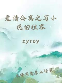愛情公寓之寫小說的租客