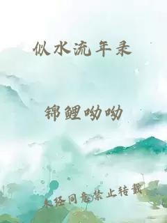 似水流年錄