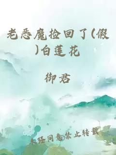 老惡魔撿回了(假)白蓮花