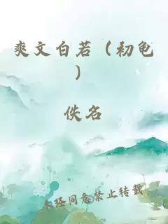 爽文白若（初龜）