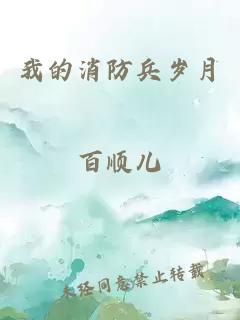 我的消防兵歲月