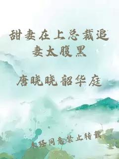 甜妻在上總裁追妻太腹黑