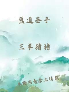 醫(yī)道圣手