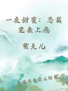 一夜甜蜜：總裁寵妻上癮