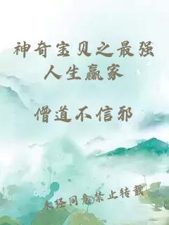 神奇寶貝之最強人生贏家