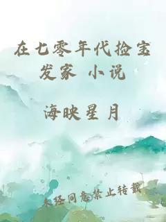 在七零年代撿寶發(fā)家 小說