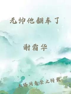 元帥他翻車(chē)了